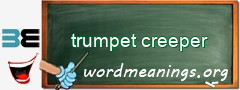 WordMeaning blackboard for trumpet creeper